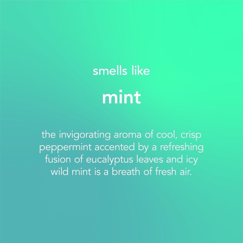 Method Glass & Surface Cleaner Spray Non-Toxic, Cleans & Removes Grime, Streak-Free Shine, Mint Scent - 828 ml - Image 3